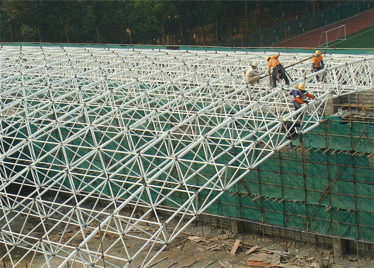 電廠網架加工工程案例